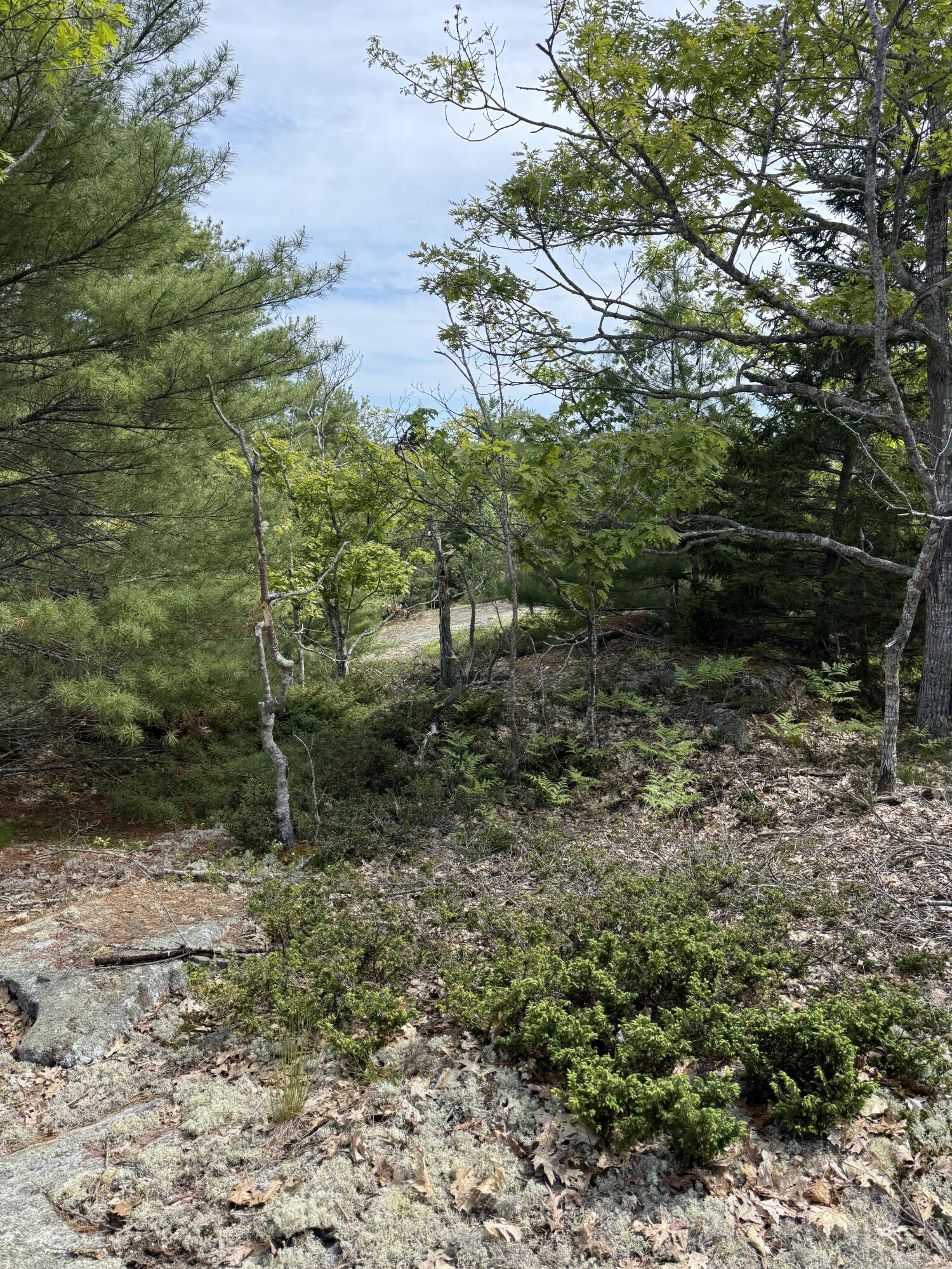 63 Sebasco Road Phippsburg, ME 04562 - Photo 14 of 14 IMG_2530 3
