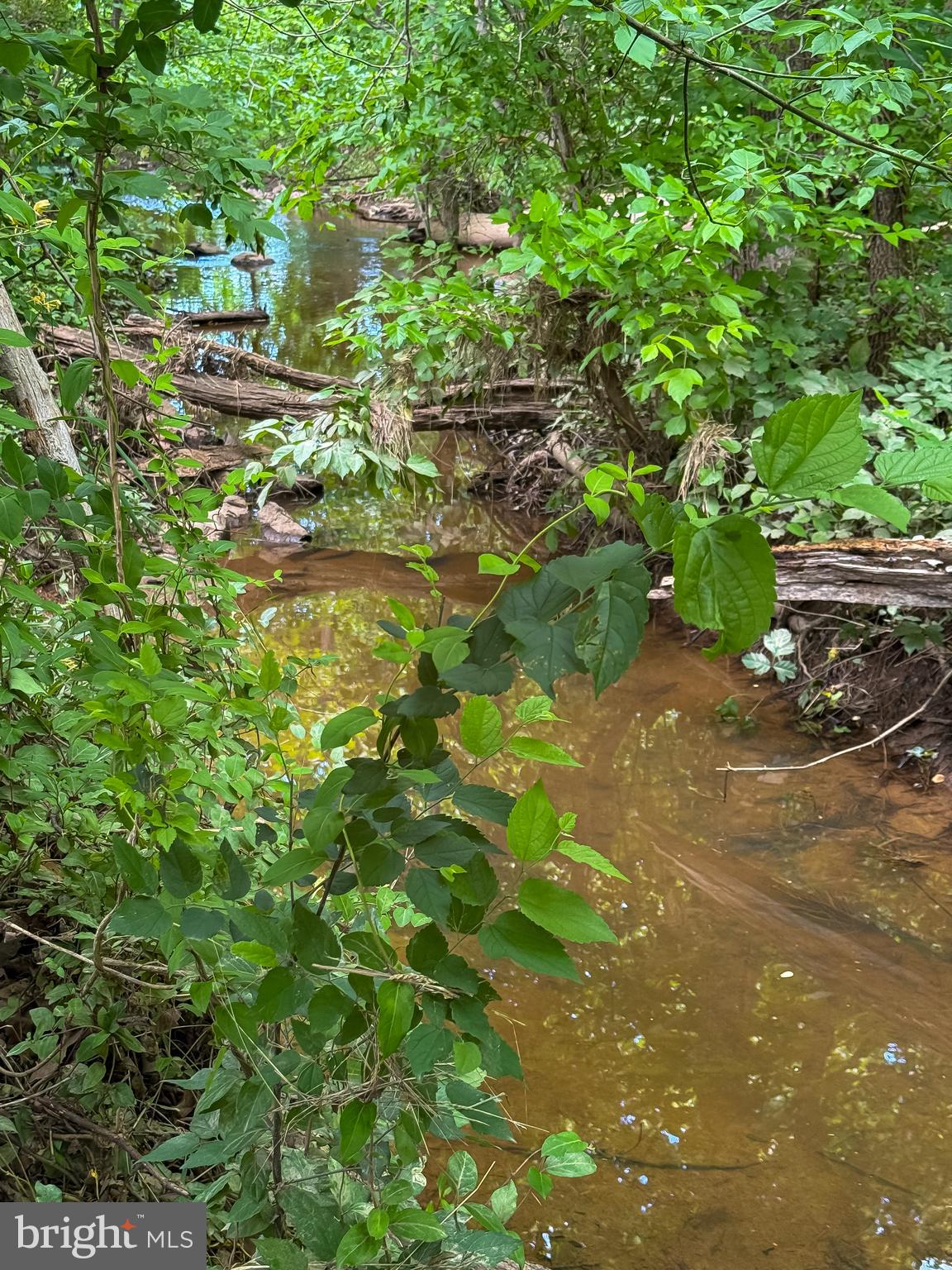 17 Ritchie Road Bealeton, VA 22712 - Photo 11 of 14 a backyard of a house with lots of green space
