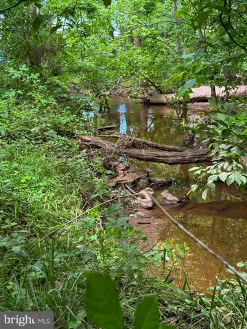 a view of a lake with large trees