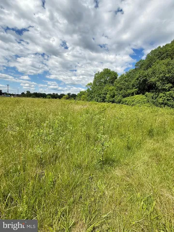 a view of a field with a big yard