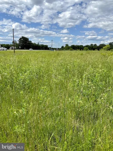 a view of a big yard with lots of green space