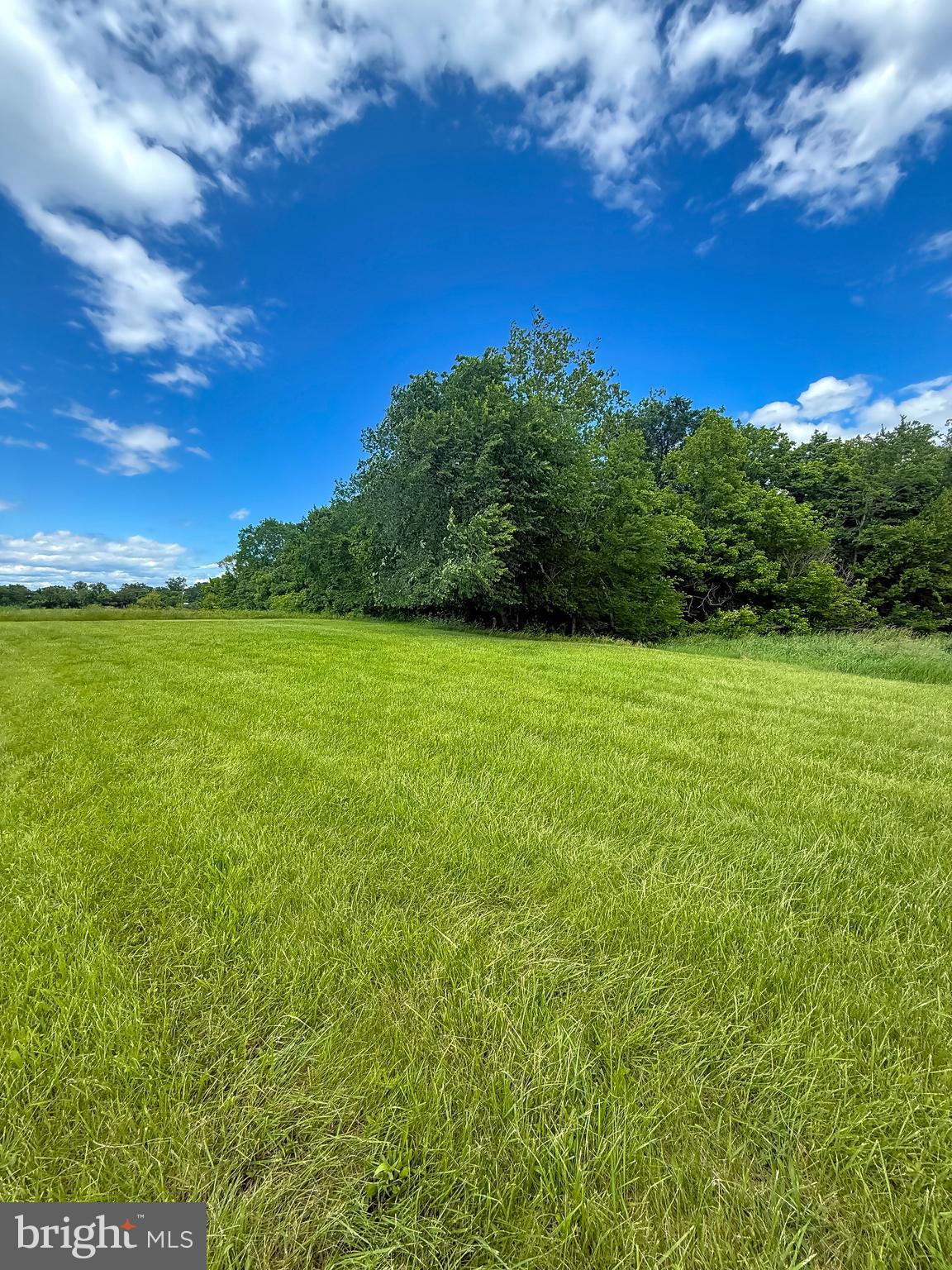 17 Ritchie Road Bealeton, VA 22712 - Photo 10 of 14 a view of a field with an ocean