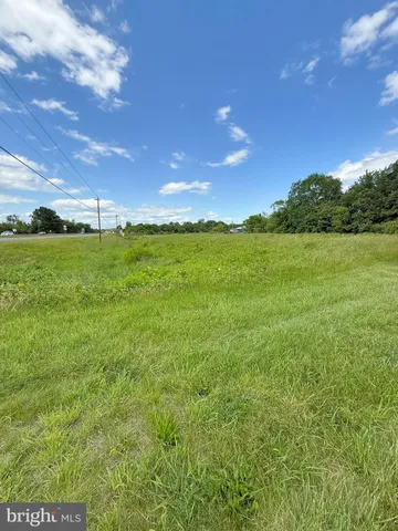 a view of a field with an ocean