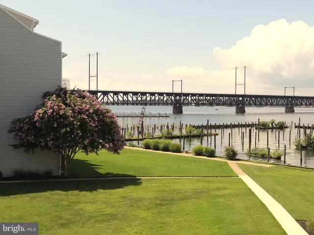 a view of a swimming pool with a garden