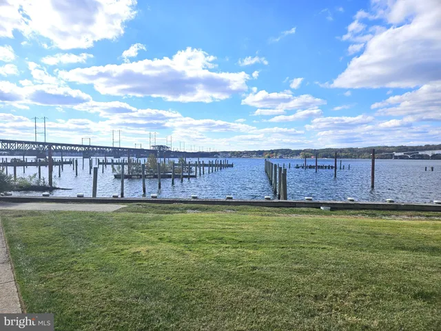 a view of a back yard