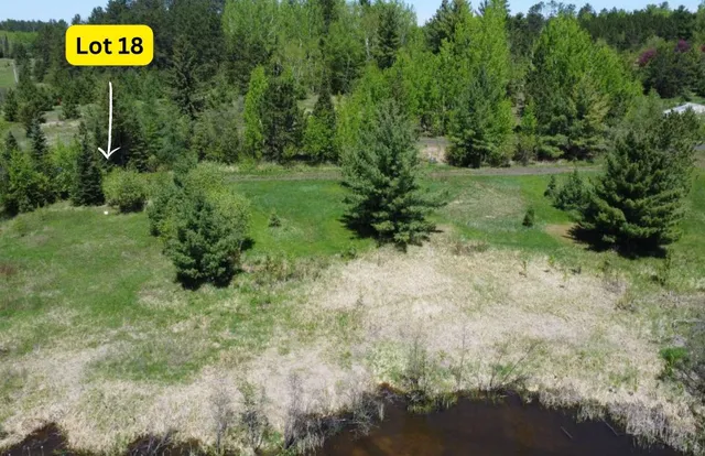 $119,000 | 80054 Waters Of Vermilion Road, Tower, MN 55790