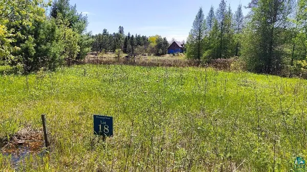 $119,000 | 80054 Waters Of Vermilion Road, Tower, MN 55790