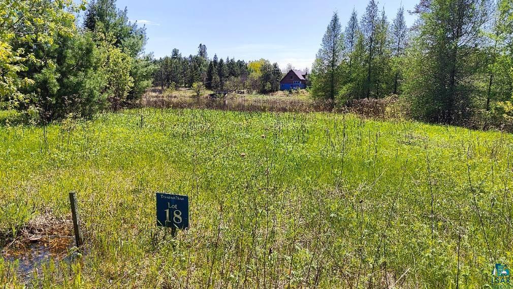80054 Waters Of Vermilion Road Tower, MN 55790 - Photo 6 of 43 View of yard
