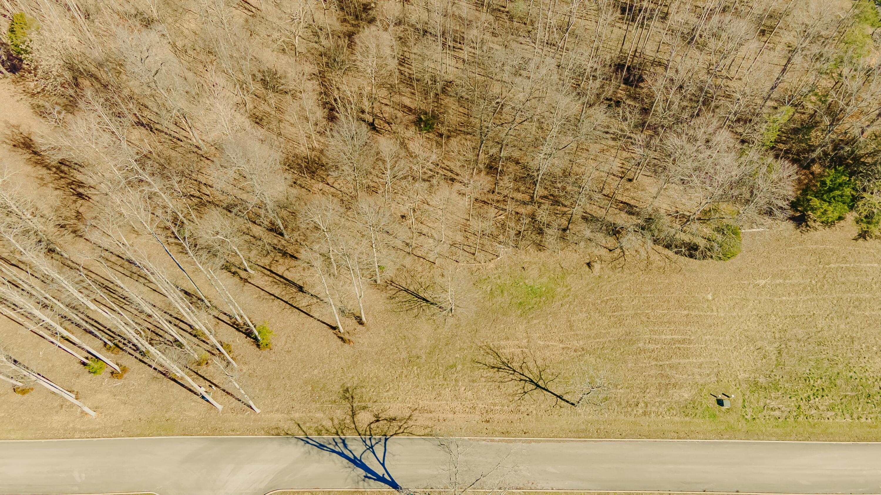 1919 South Shepola Road Nancy, KY 42544 - Photo 10 of 33 tempImagempXv3f
