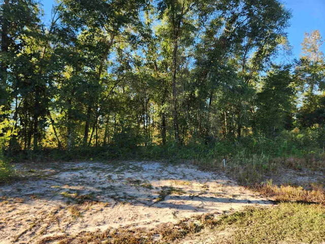 $85,000 | 20 Northeast St Hosford, Hosford, FL 32334