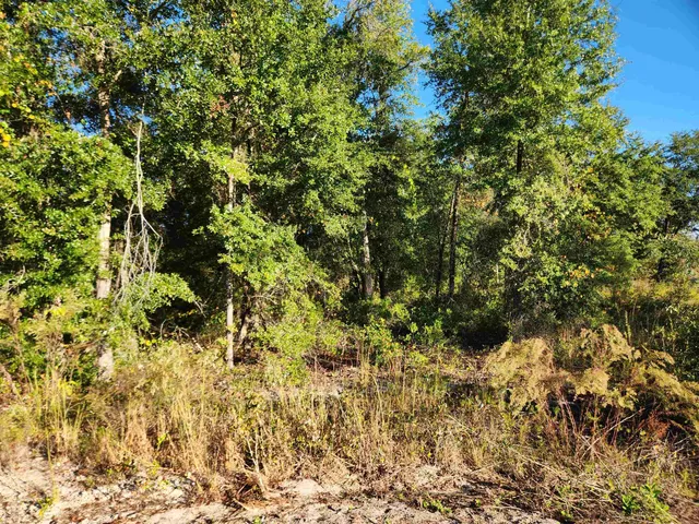 $85,000 | 20 Northeast St Hosford, Hosford, FL 32334