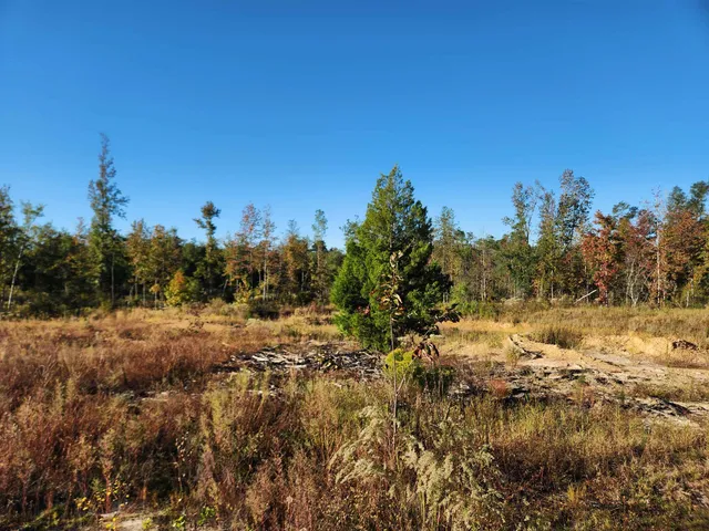 $85,000 | 20 Northeast St Hosford, Hosford, FL 32334