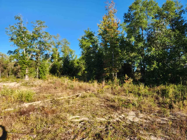 $85,000 | 20 Northeast St Hosford, Hosford, FL 32334