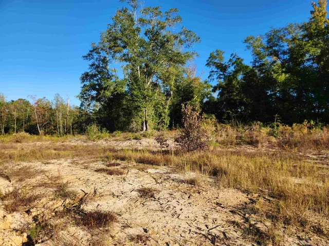 $85,000 | 20 Northeast St Hosford, Hosford, FL 32334