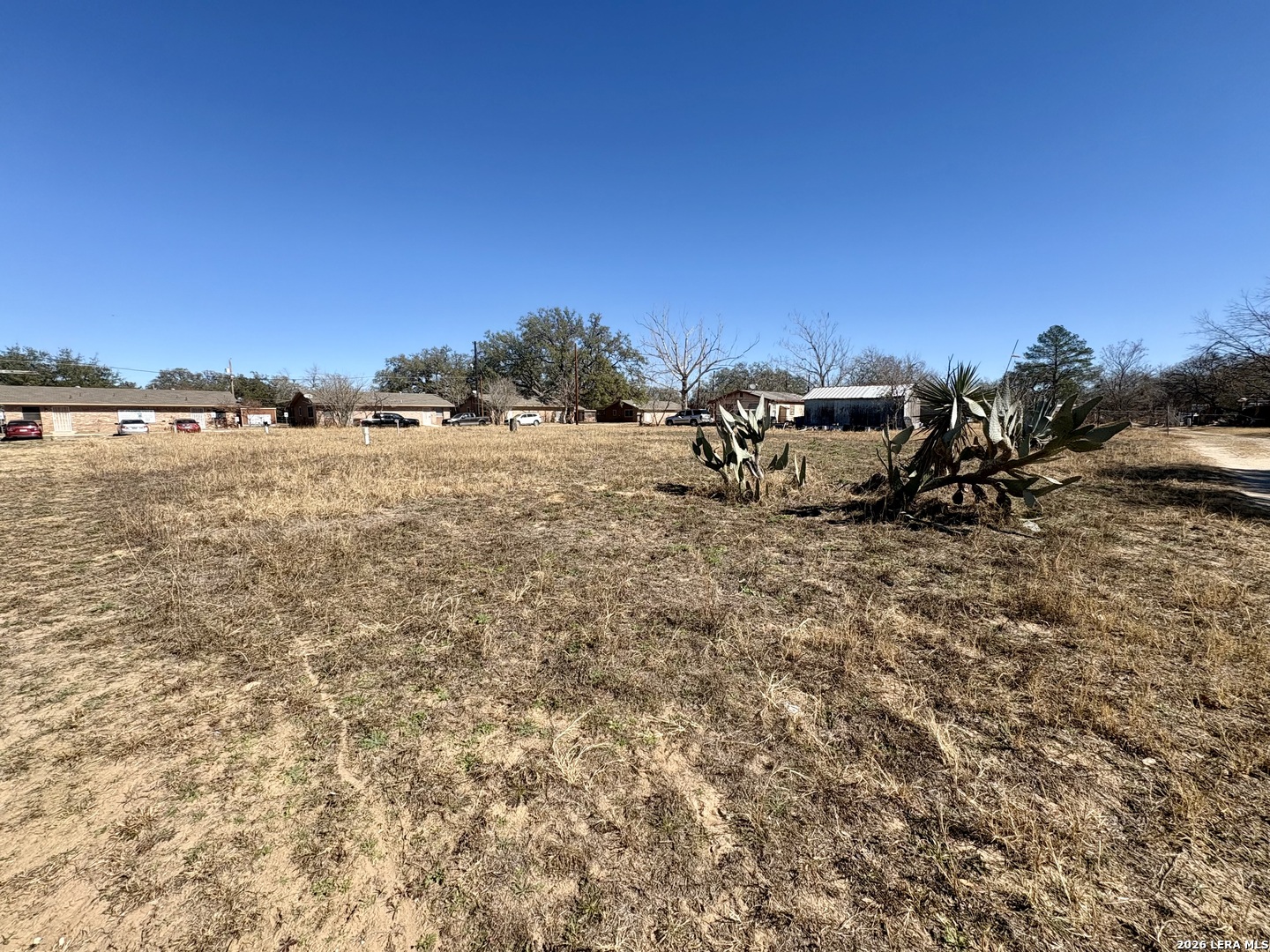 a view of a dry yard with trees