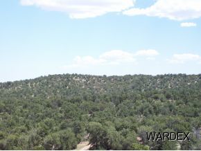 33512 West Whiskey River Road Seligman, AZ 86337 - Photo 7 of 17 Additional Photo