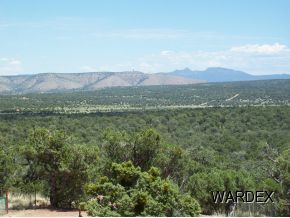 33512 West Whiskey River Road Seligman, AZ 86337 - Photo 8 of 17 Additional Photo