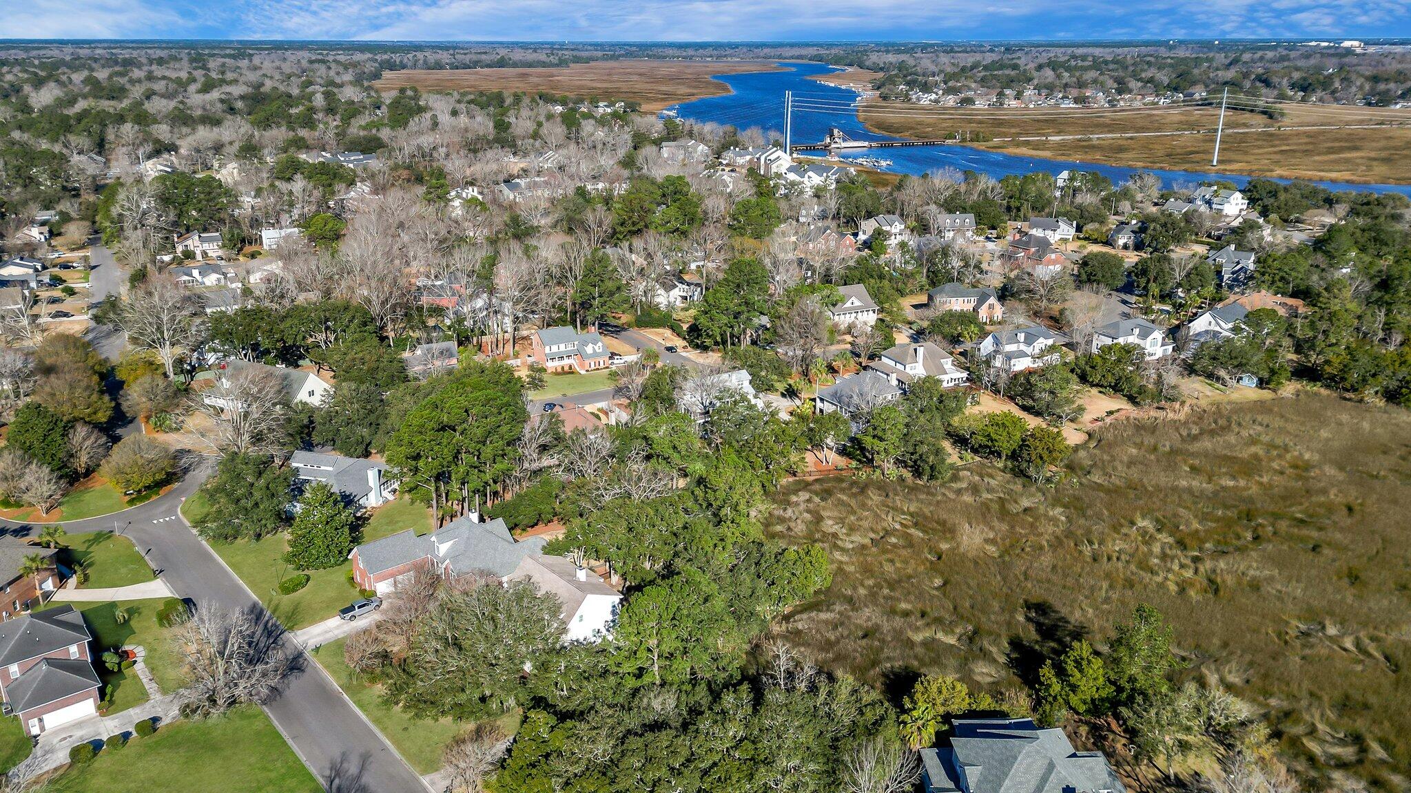 2363 Rice Pond Road Charleston, SC 29414 - Photo 74 of 75 136-web-or-mls-DJI_0718_1