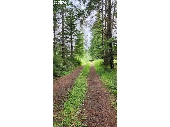 $250,000 | 24099 Hall Road, Cheshire, OR 97419