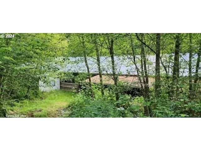 a view of a green yard