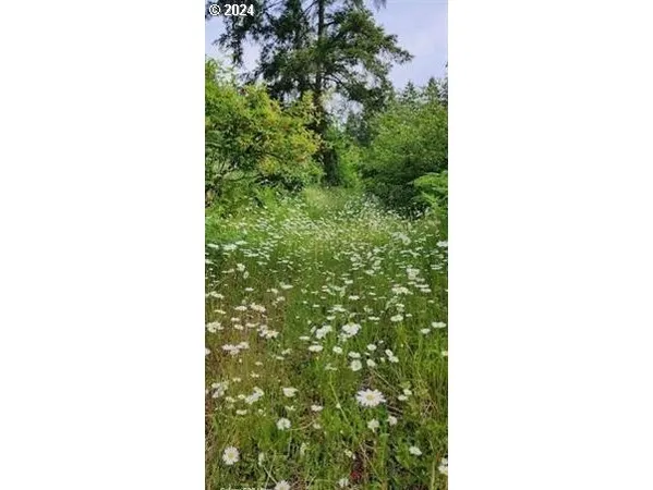 $250,000 | 24099 Hall Road, Cheshire, OR 97419