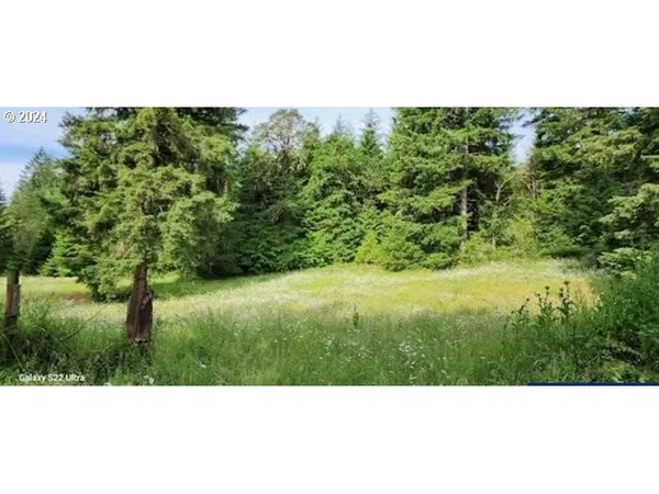 $250,000 | 24099 Hall Road, Cheshire, OR 97419