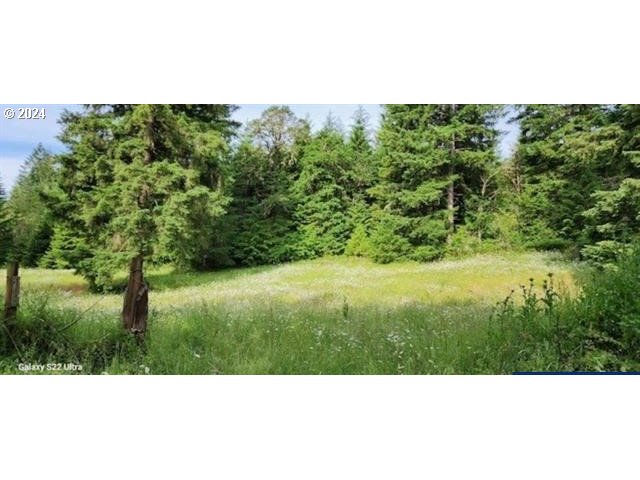 24099 Hall Road Cheshire, OR 97419 - Photo 4 of 7