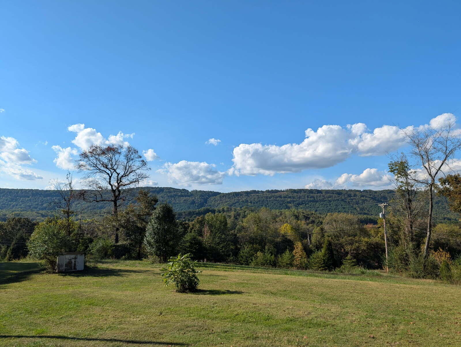25992 Rhea County Highway Spring City, TN 37381 - Photo 2 of 35 image000002 (5)