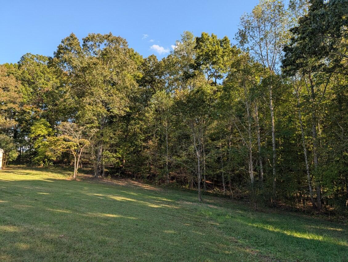 25992 Rhea County Highway Spring City, TN 37381 - Photo 27 of 35 image000001 (5)