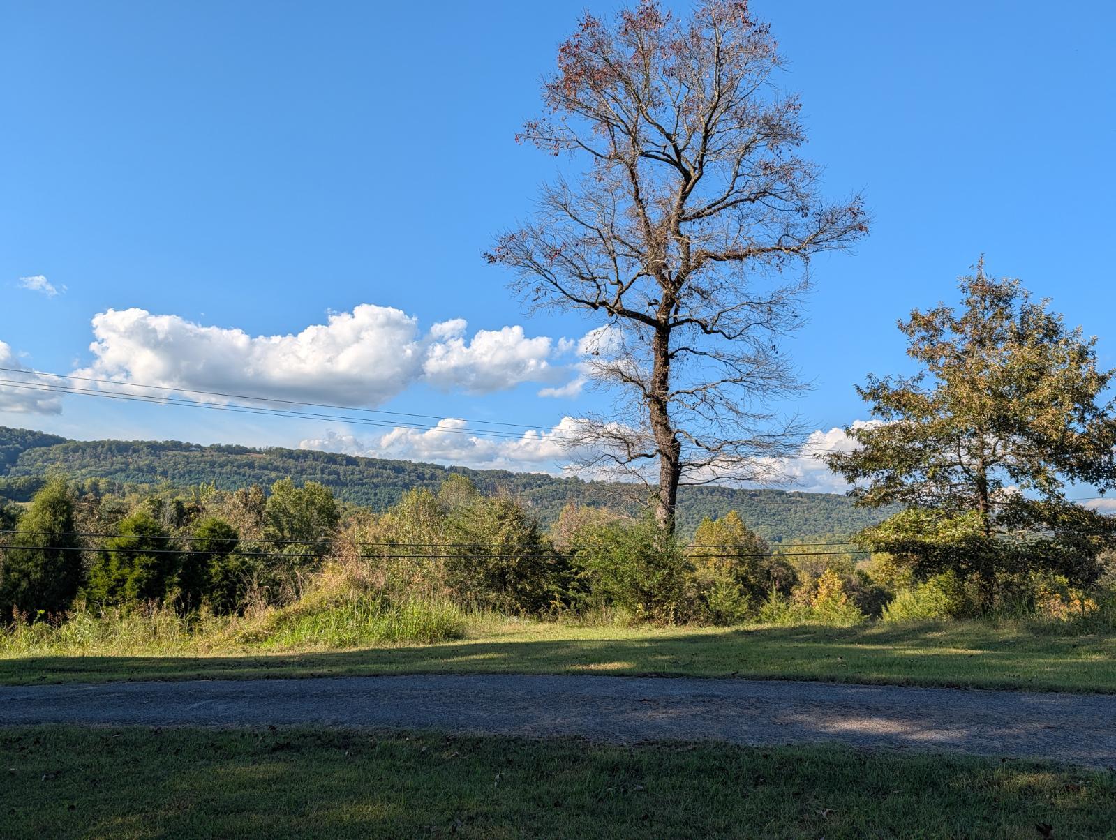 25992 Rhea County Highway Spring City, TN 37381 - Photo 28 of 35 image000000 (9)