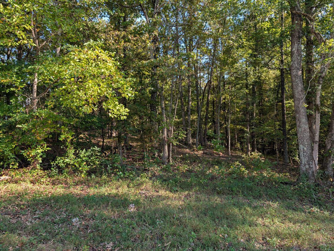 25992 Rhea County Highway Spring City, TN 37381 - Photo 30 of 35 image000002