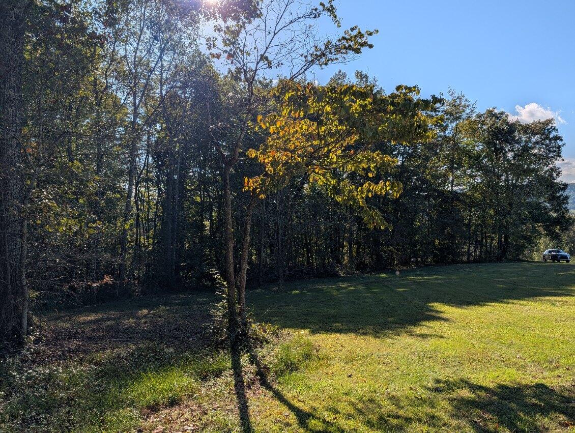 25992 Rhea County Highway Spring City, TN 37381 - Photo 31 of 35 image000001