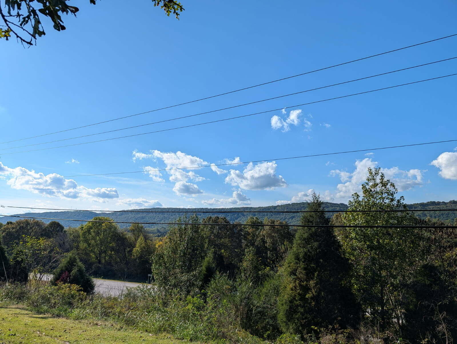 25992 Rhea County Highway Spring City, TN 37381 - Photo 33 of 35 image000000 (3)