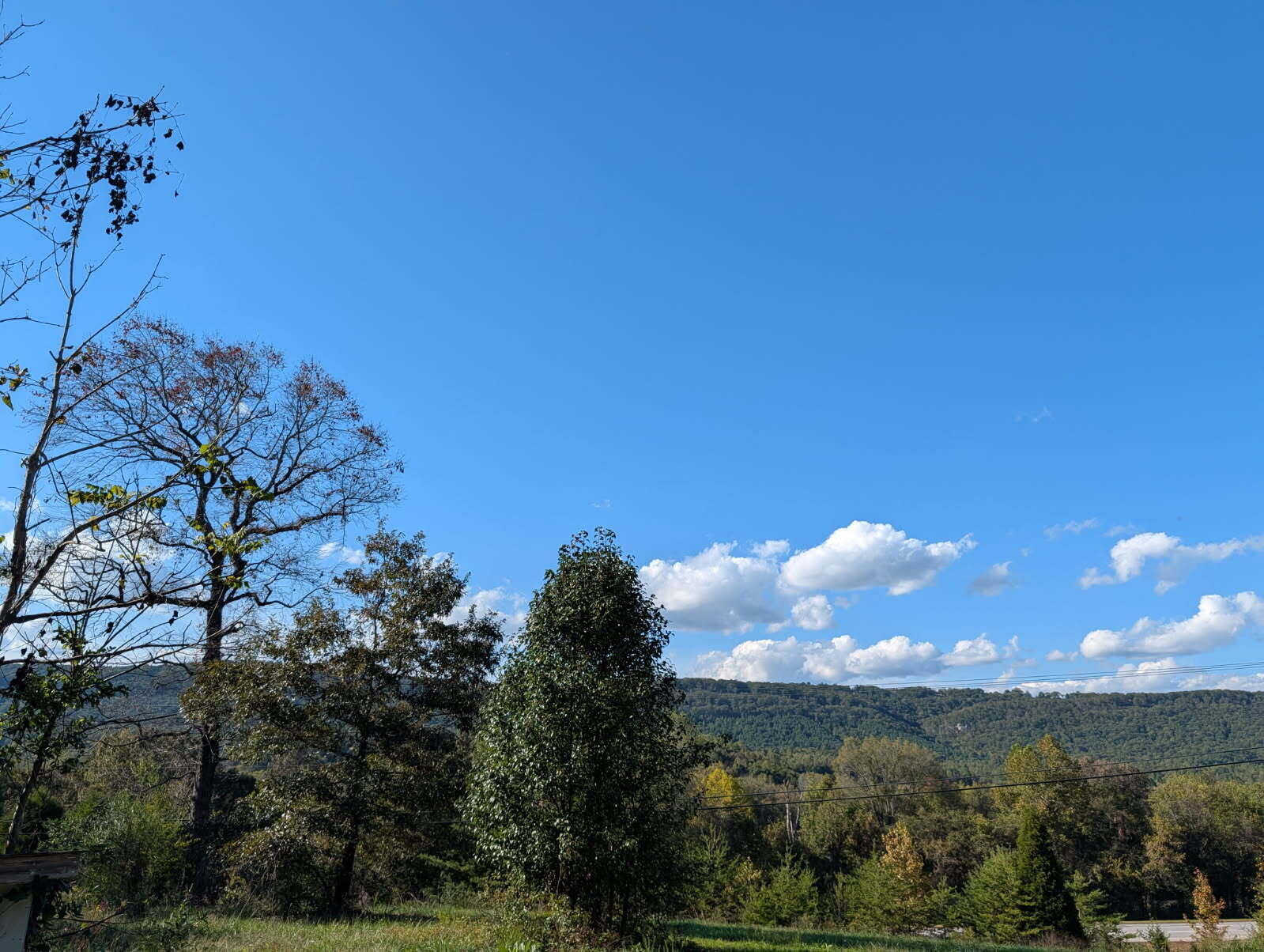 25992 Rhea County Highway Spring City, TN 37381 - Photo 34 of 35 image000000 (2)