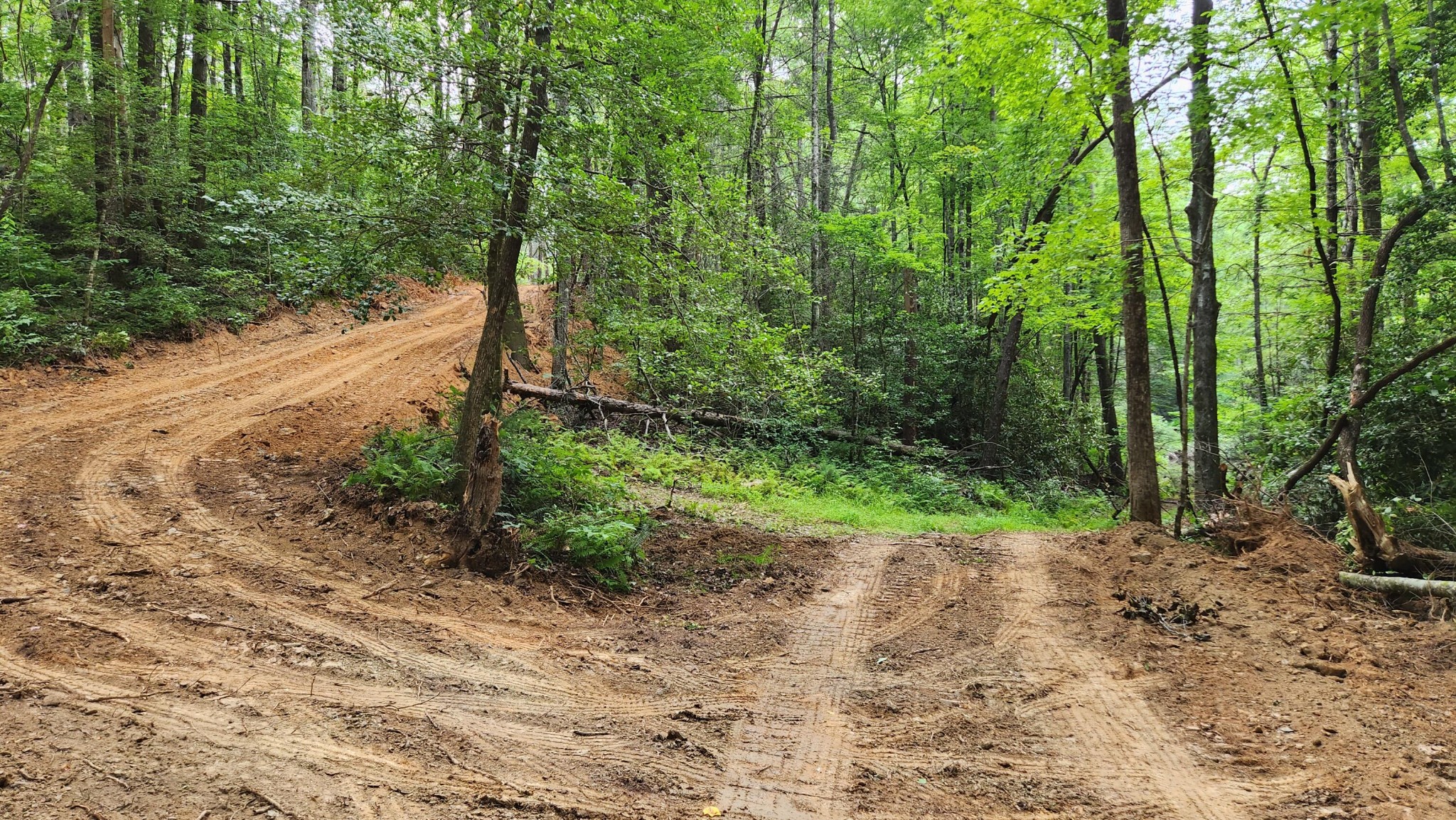 0 Tumbling Creek Road Copperhill, TN 37317 - Photo 37 of 62