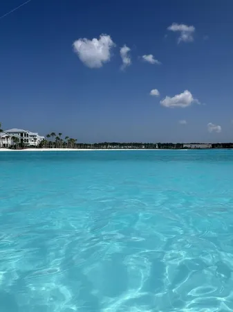 a view of an ocean and a yard