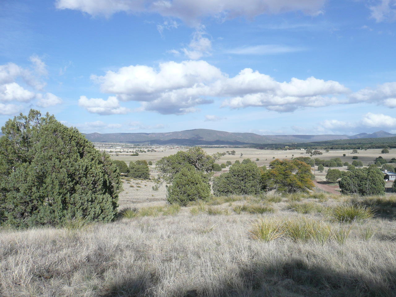 478 Rolling Hills Road Young, AZ 85554 - Photo 18 of 20