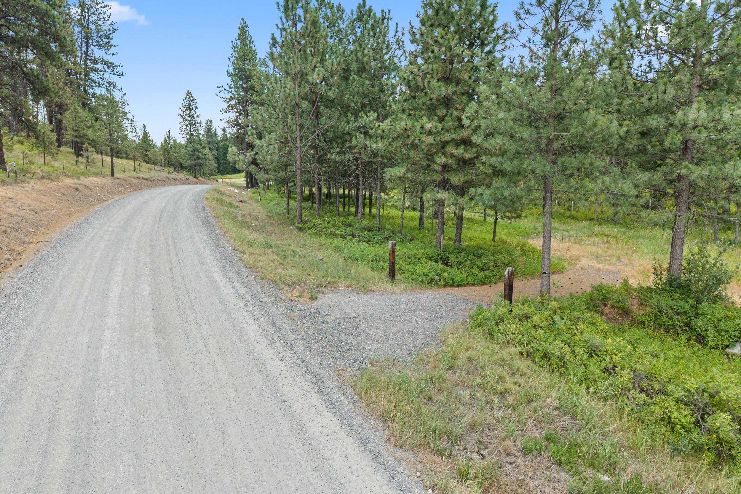 770 Mahoney Road Colville, WA 99114 - Photo 3 of 8