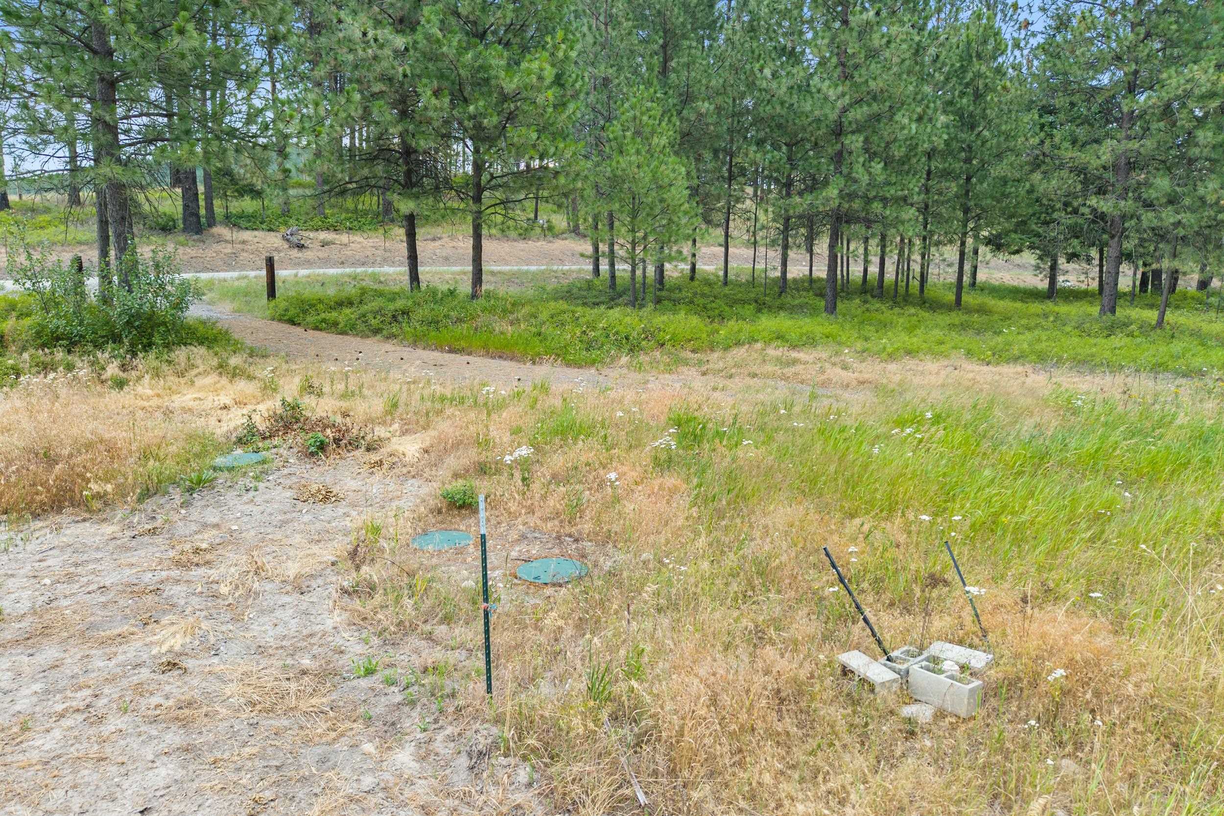 770 Mahoney Road Colville, WA 99114 - Photo 4 of 8