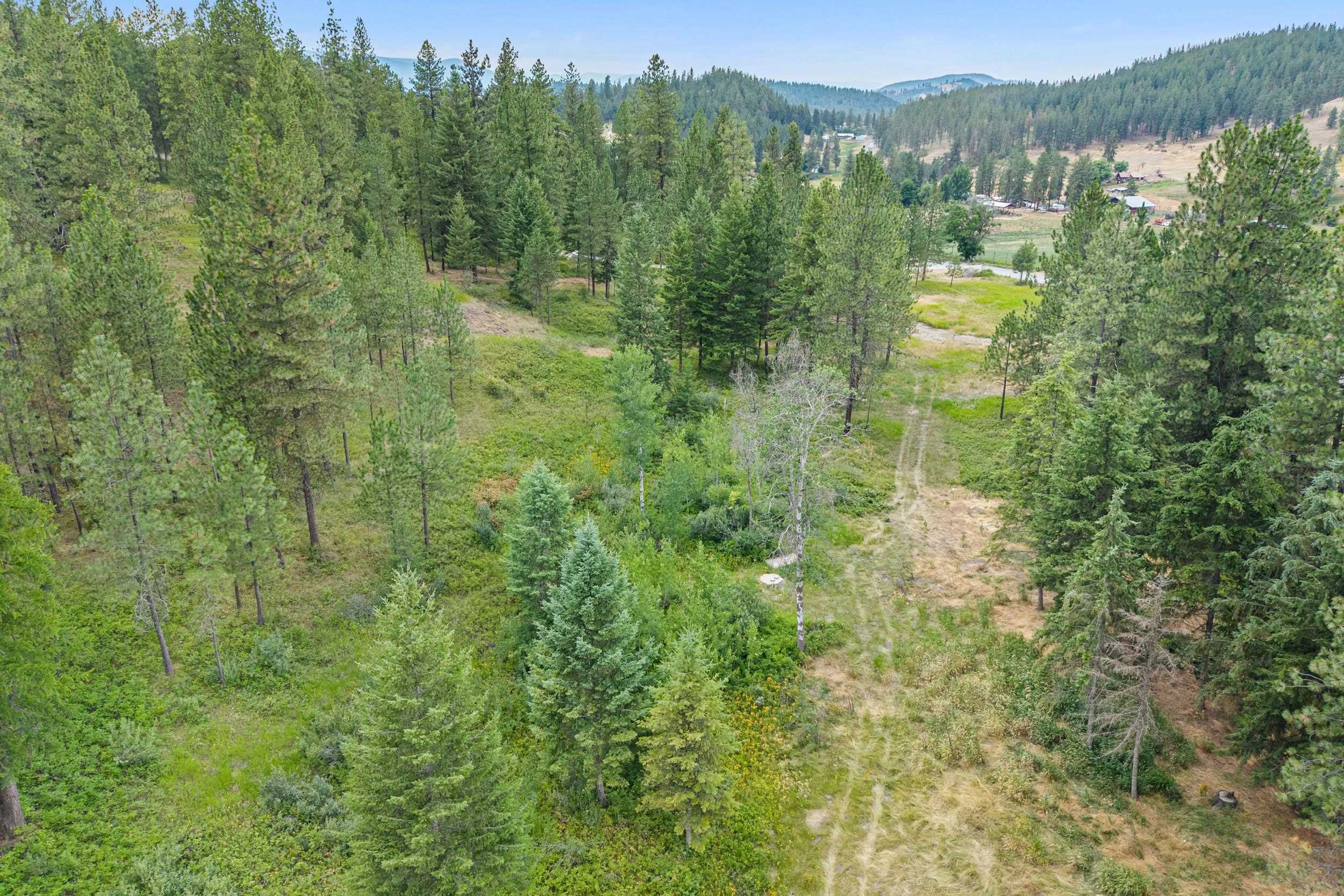 770 Mahoney Road Colville, WA 99114 - Photo 5 of 8