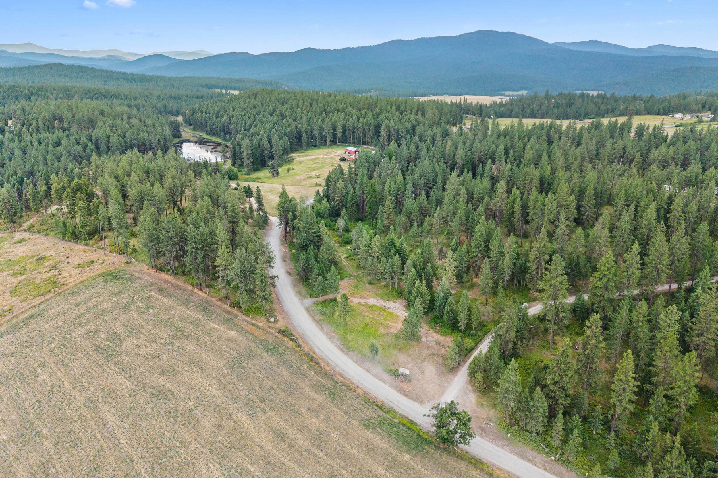 770 Mahoney Road Colville, WA 99114 - Photo 6 of 8