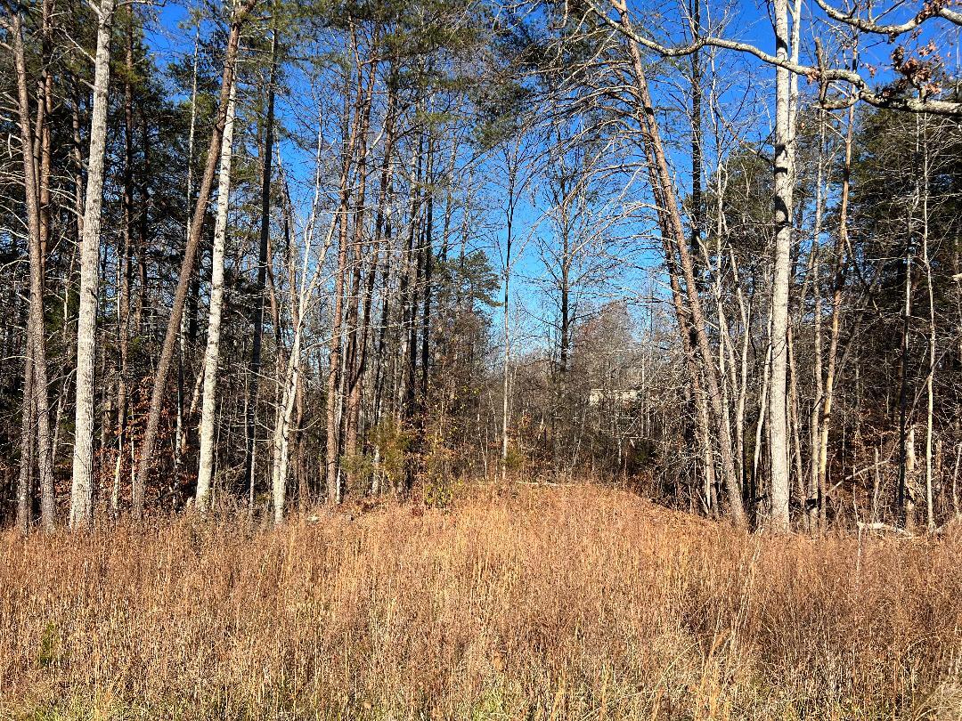 Lot 10 Barrett Road Hardy, VA 24101 - Photo 1 of 3 Lot 10