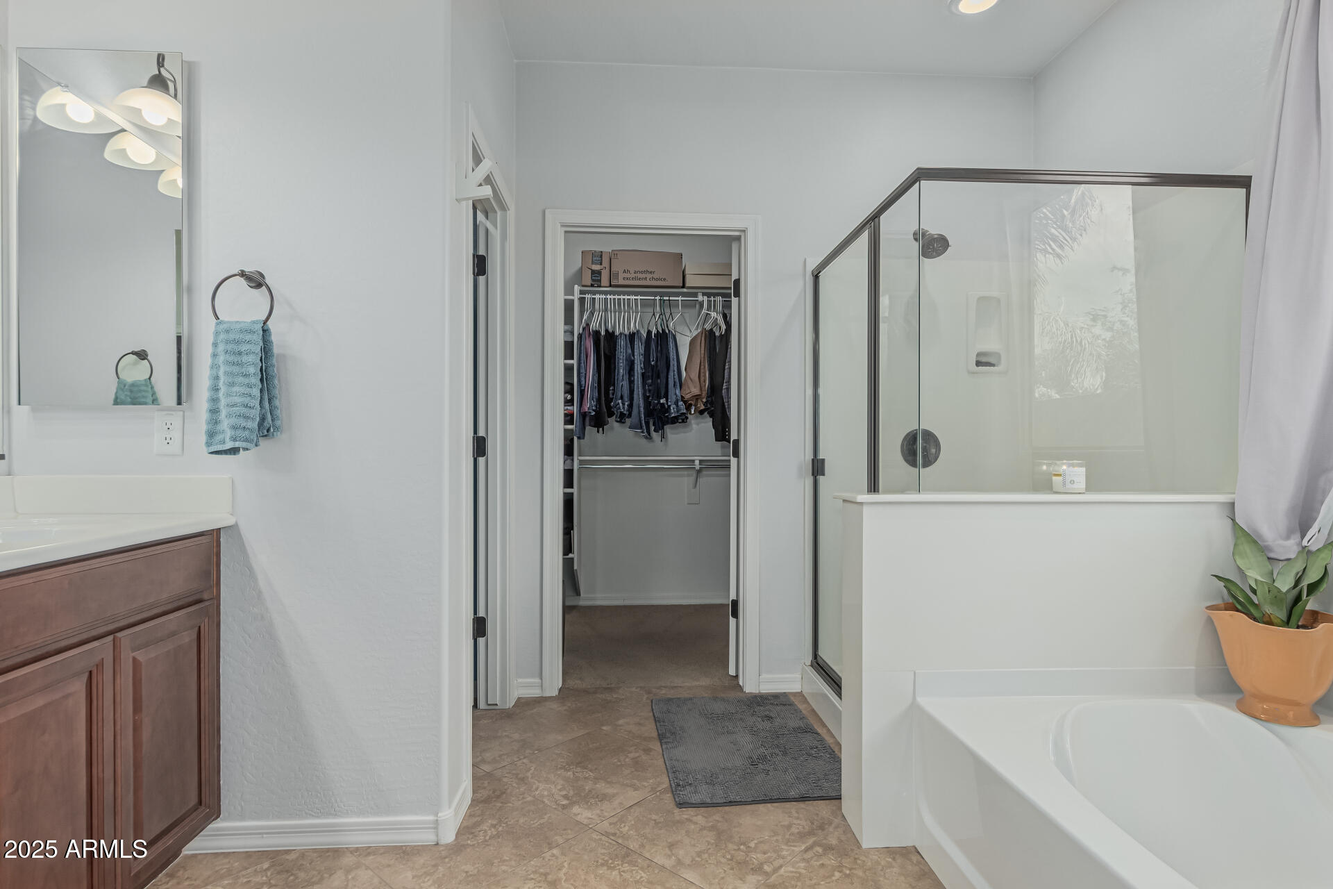 4273 South Red Rock Street Gilbert, AZ 85297 - Photo 21 of 40 Primary bathroom View A