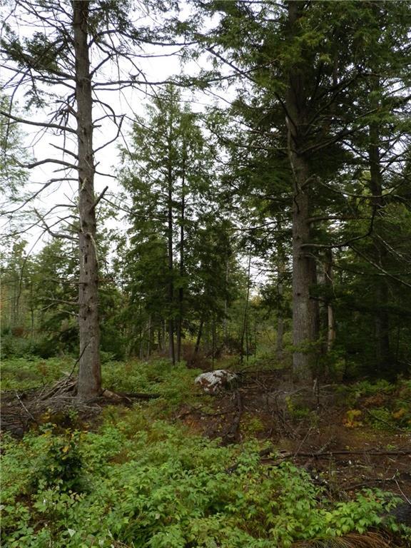 0 Wards Road Ellsworth, ME 04605 - Photo 11 of 29 Photo