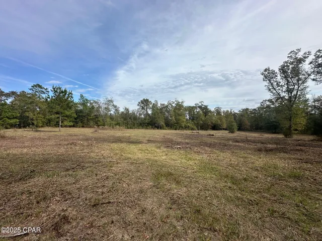 $83,000 | 2194 Mohawk Trail, Sneads, FL 32460