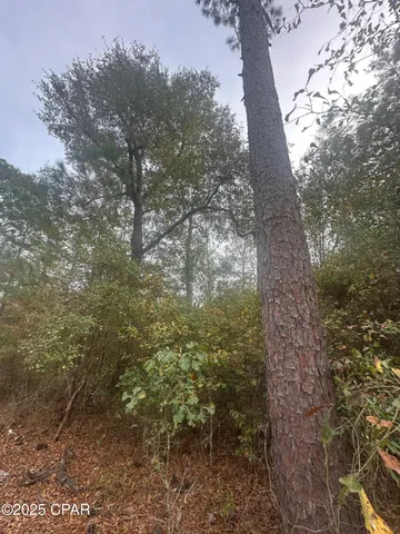 $83,000 | 2194 Mohawk Trail, Sneads, FL 32460