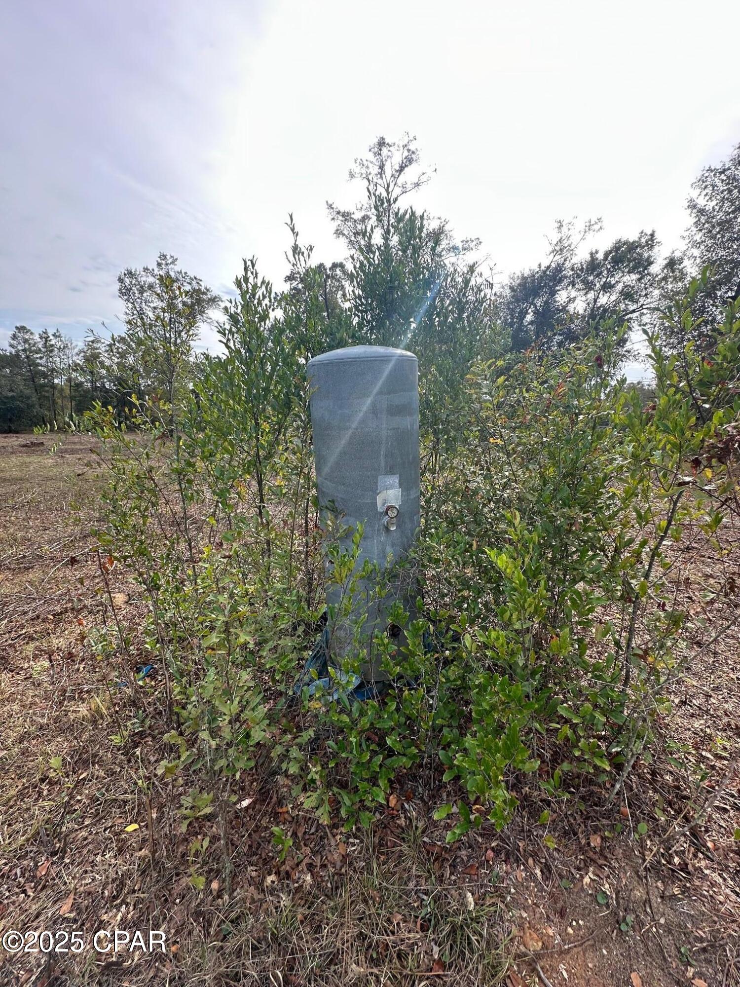 2194 Mohawk Trail Sneads, FL 32460 - Photo 3 of 11