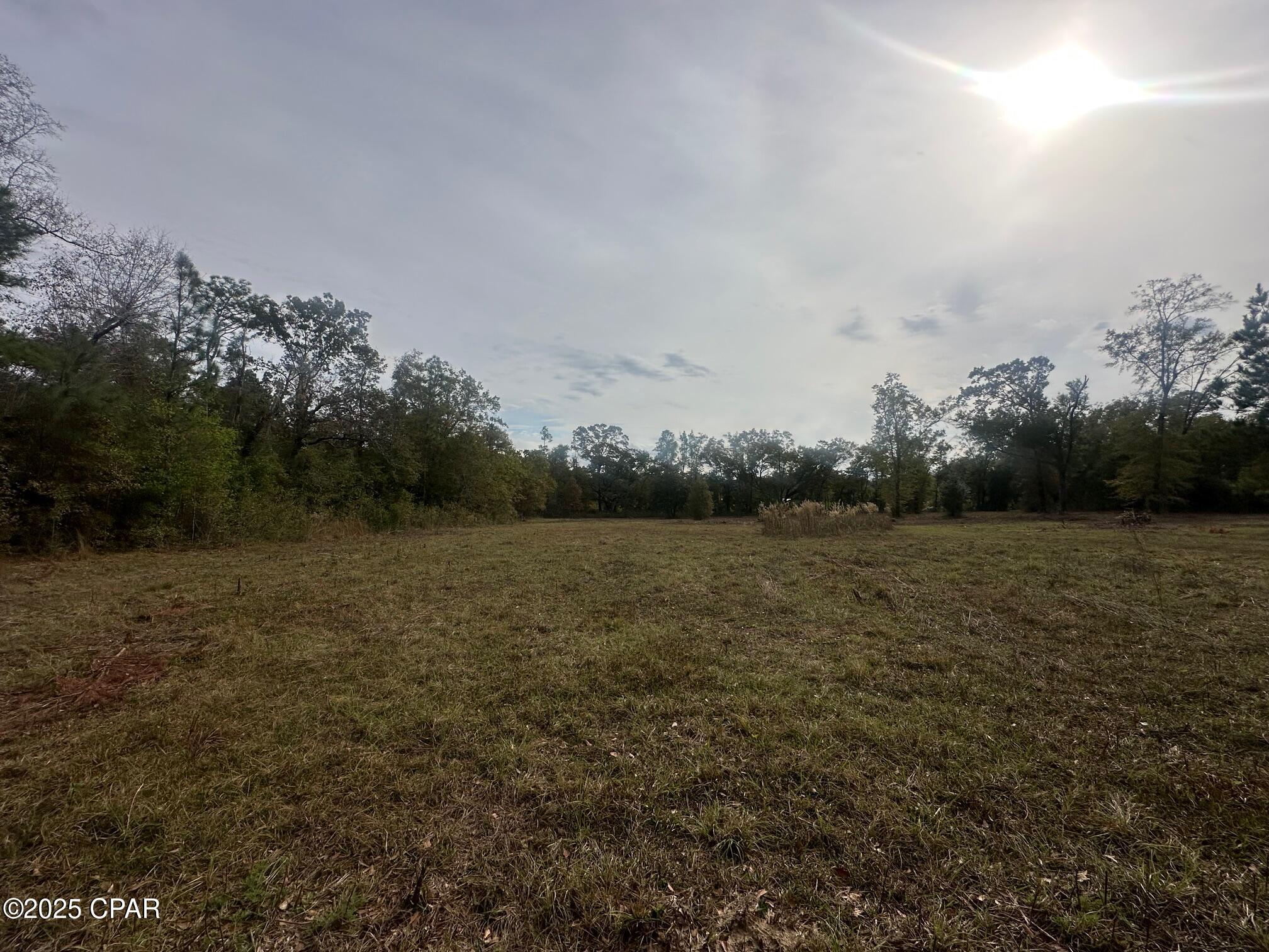 2194 Mohawk Trail Sneads, FL 32460 - Photo 7 of 11