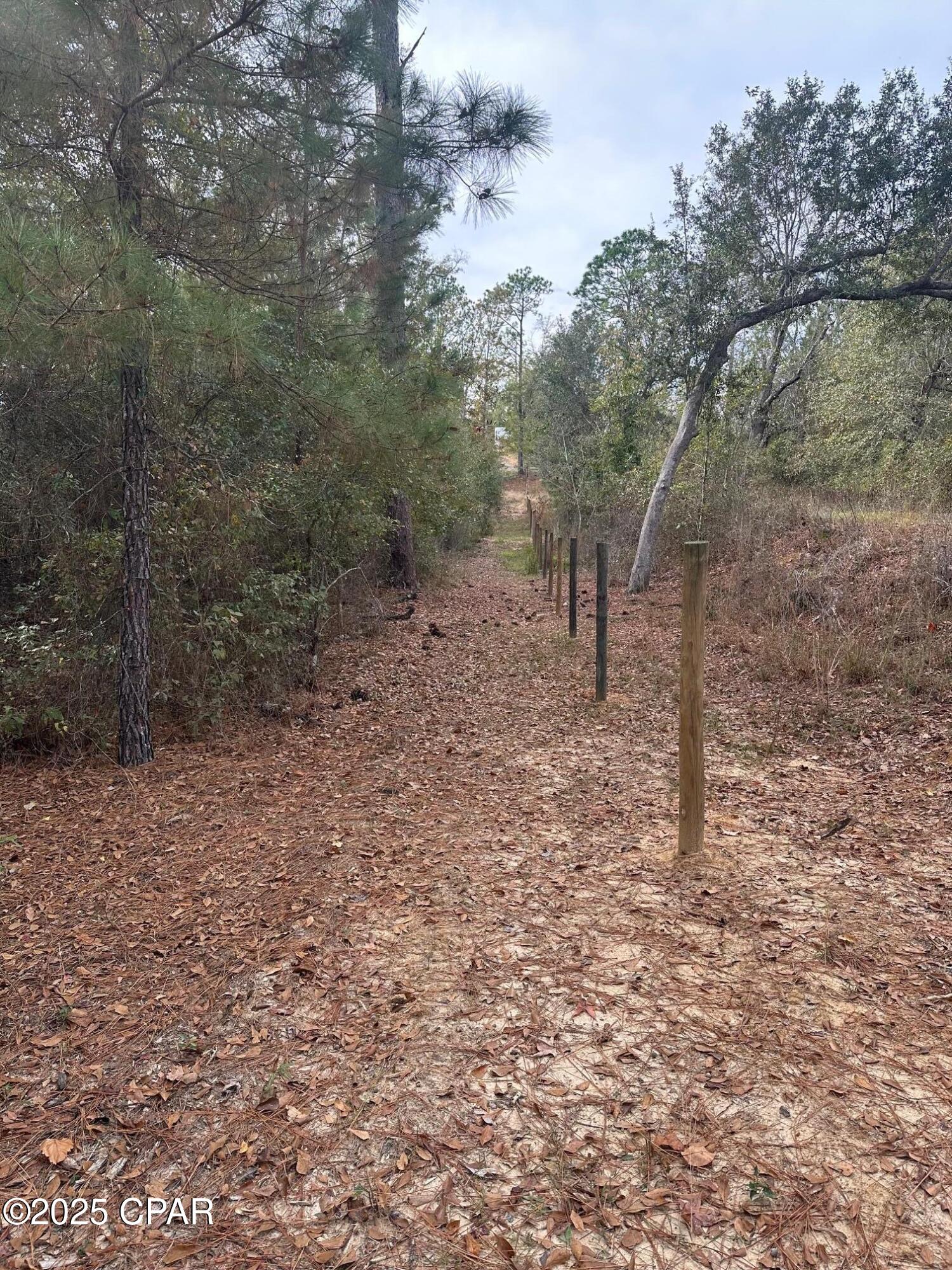 2194 Mohawk Trail Sneads, FL 32460 - Photo 8 of 11