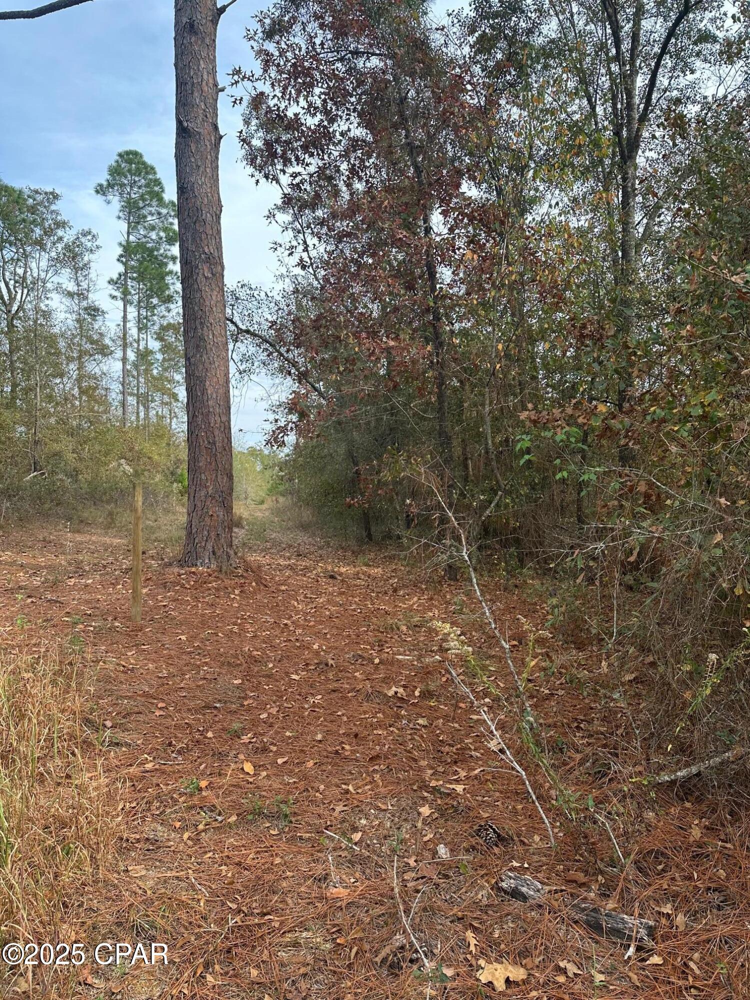 2194 Mohawk Trail Sneads, FL 32460 - Photo 9 of 11